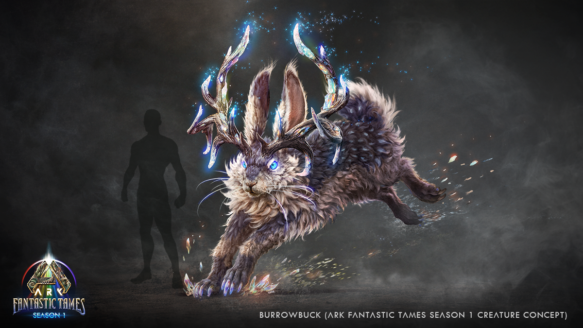 Down The Rabbit Hole